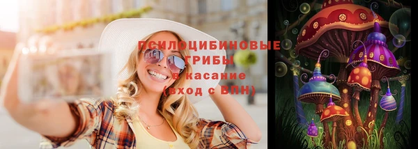 ешки Шарыпово