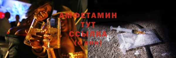 дмт Богородицк