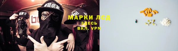 дмт Богородицк