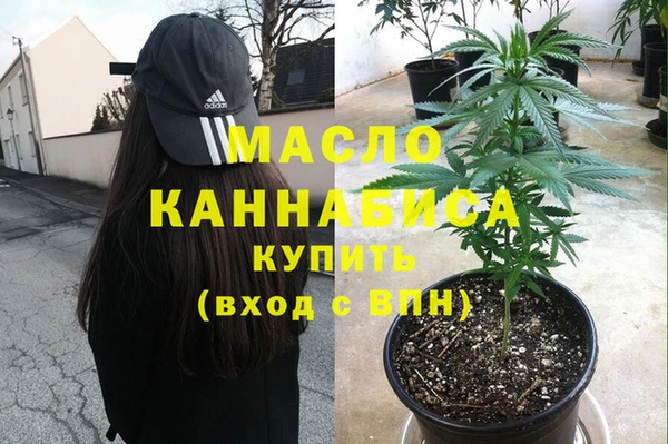дмт Богородицк