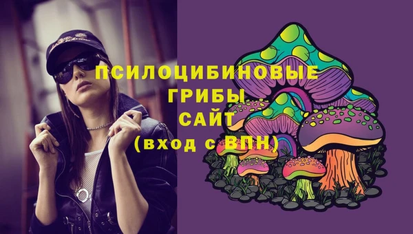 мескалин Богданович