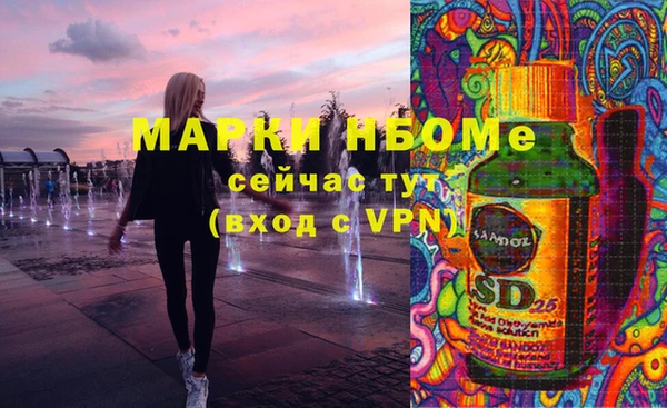 соль ск Богородск