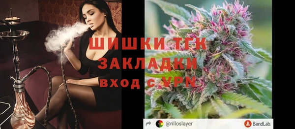 дмт Богородицк